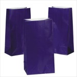 RTD-2319 : Purple Paper Treat Bags at Magic Party Supply