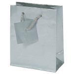 RTD-3703 : Solid Silver Small Gift Bags at Magic Party Supply
