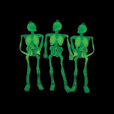 Small Glow-in-the-Dark Plastic Skeletons